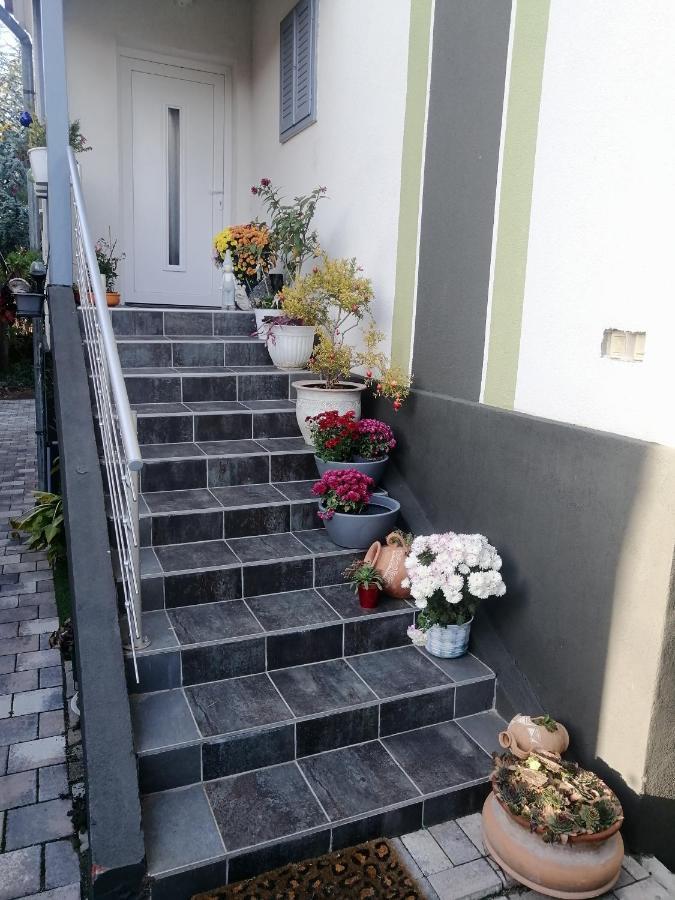 264 Lepes Vendeghaz Hotel Sárvár Екстериор снимка