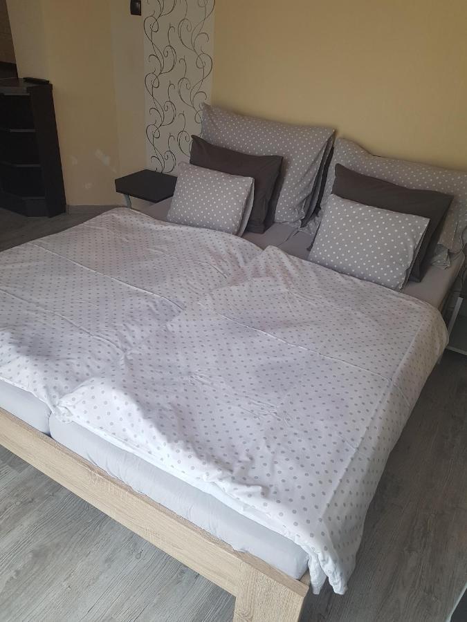264 Lepes Vendeghaz Hotel Sárvár Екстериор снимка